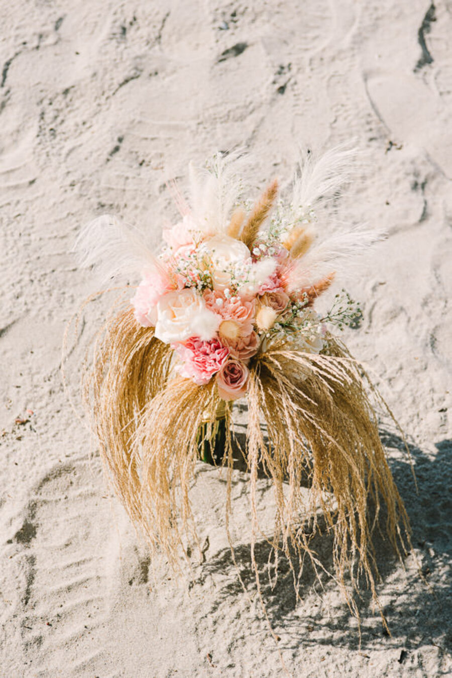 Descripción de la imagen 7